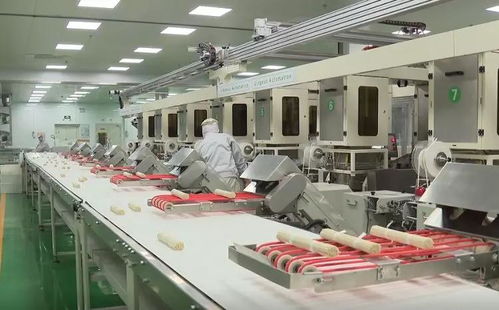 直擊復(fù)工首日 山東16市企業(yè)齊頭并進 家用紡織制成品制造大項目引領(lǐng)春潮