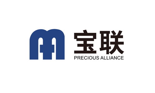 寶聯(lián)企業(yè)管理咨詢(xún)集團(tuán) 賦能企業(yè)轉(zhuǎn)型的戰(zhàn)略伙伴